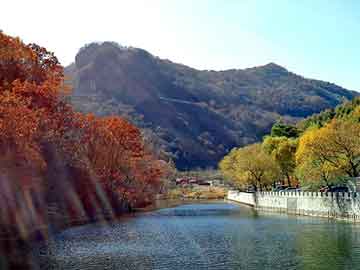 养殖场平面图，额头皮肤粗糙